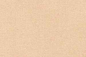 Ковролин Radici Abetone Vaniglia 4600 фото  | FLOORDEALER